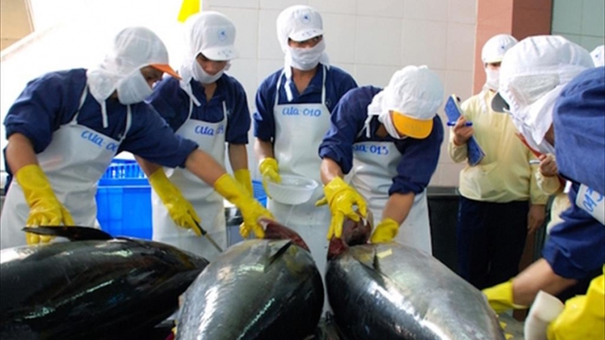 Vietnamese tuna exports surge in Q1